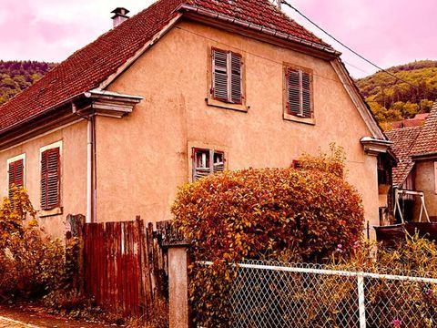   Sp�cial investisseurs , Saint-Amarin 68550, 7 pi�ces, 155 m2, terrain 4 ares Maison - 7 pi�ce(s) - 155 m�