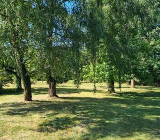  Propri�t�/ch�teau � vendre 9 pi�ces 316 m�