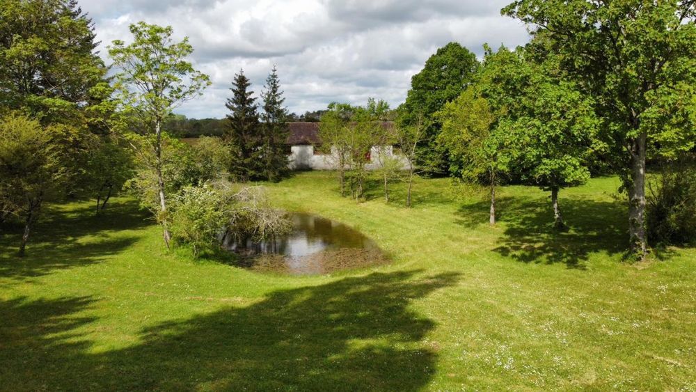 � vendre  Propri�t�/ch�teau Pressigny-les-Pins (45290)