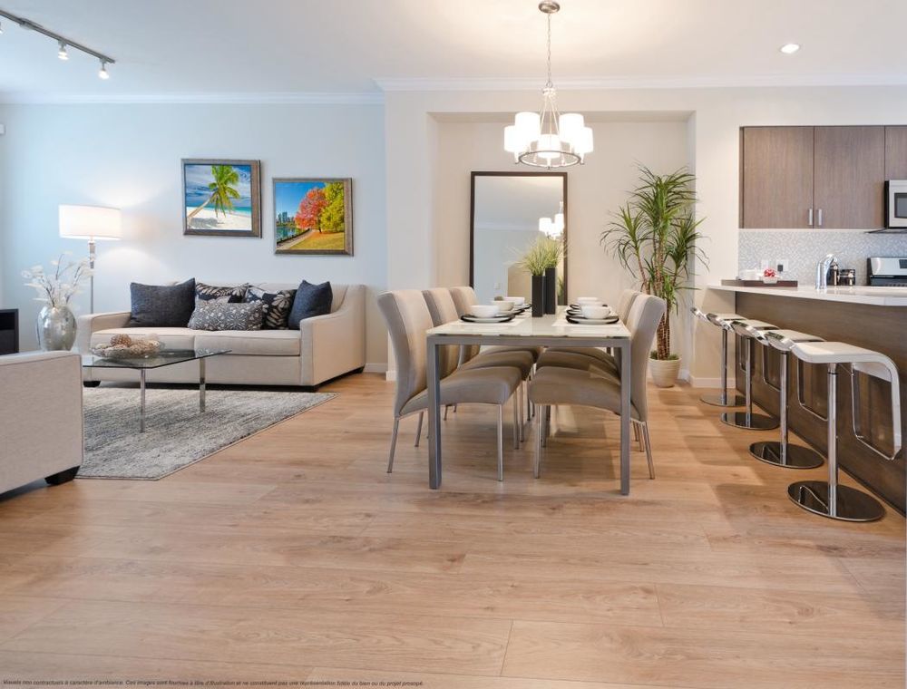   Levallois-Perret (92300)