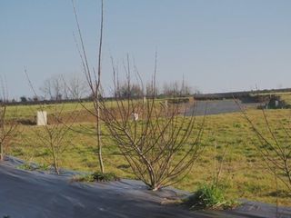  Terrain � vendre 727 m�