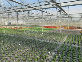  Propri�t�/ch�teau � vendre 4 pi�ces 120 m�