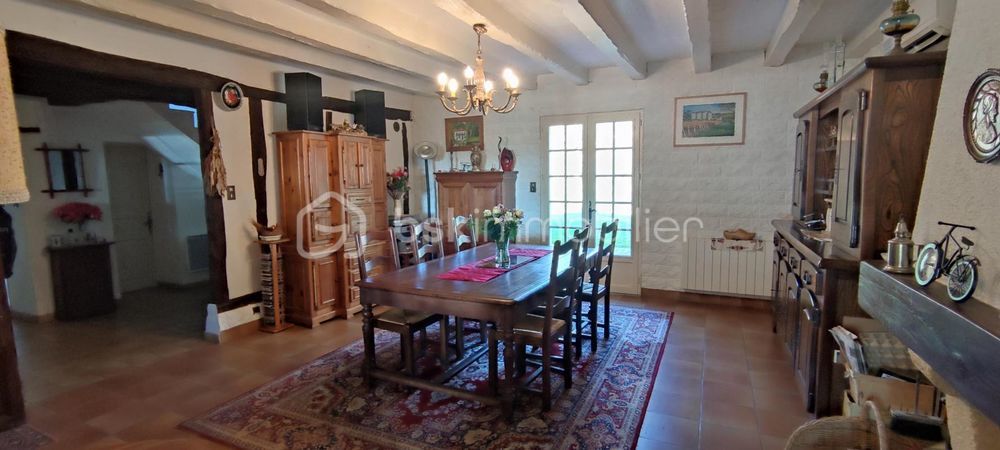 � vendre  Propri�t�/ch�teau Luynes (37230)