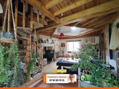   Propri�t� atypique avec 3 logements ind�pendants, id�ale famille, g�tes ou investissement Propri�t�/ch�teau - 10 pi�ce(s) - 317 m�