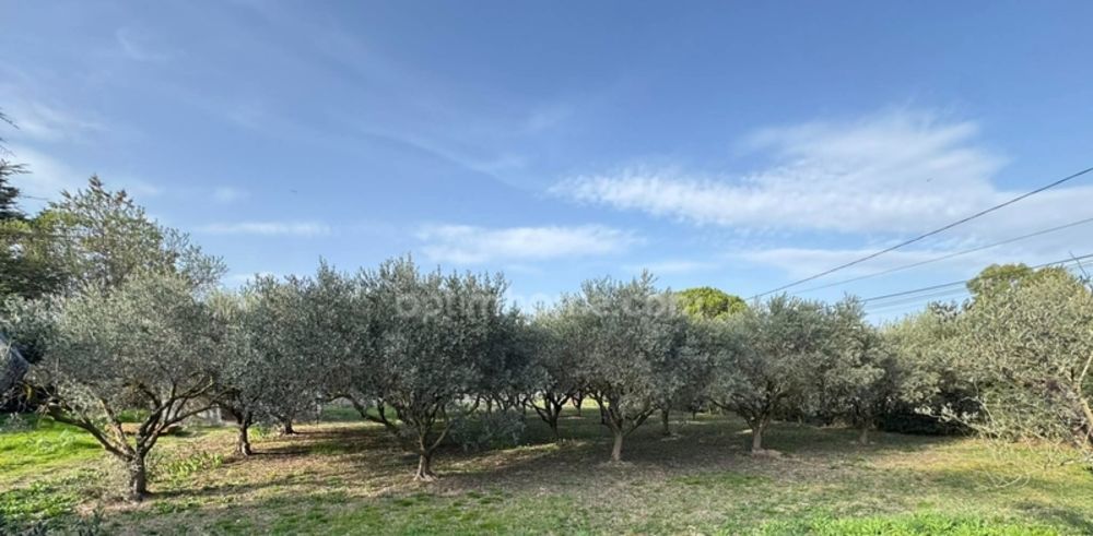 � vendre  Maison Saint-R�my-de-Provence (13210)