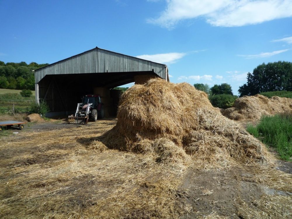 � vendre  Propri�t�/ch�teau Coucy-le-Ch�teau-Auffrique (02380)