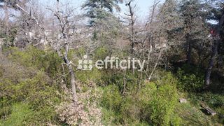  Propri�t�/ch�teau � vendre 8 pi�ces 300 m�