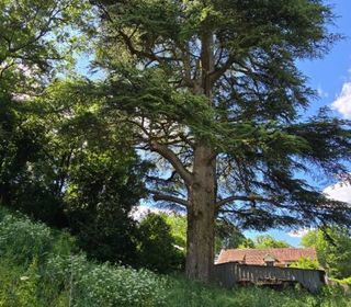  Terrain � vendre 2372 m�