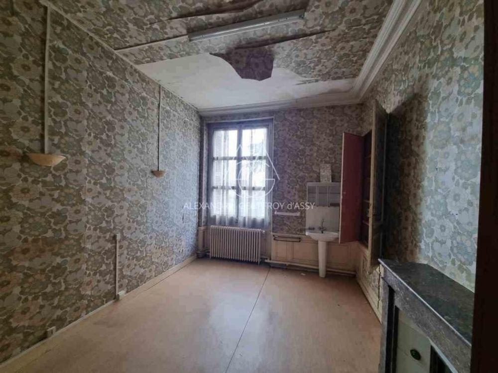 � vendre  H�tel Particulier Tours (37000)