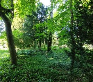  Maison � vendre 9 pi�ces 195 m�