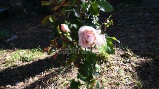  Maison � vendre 4 pi�ces 109 m�