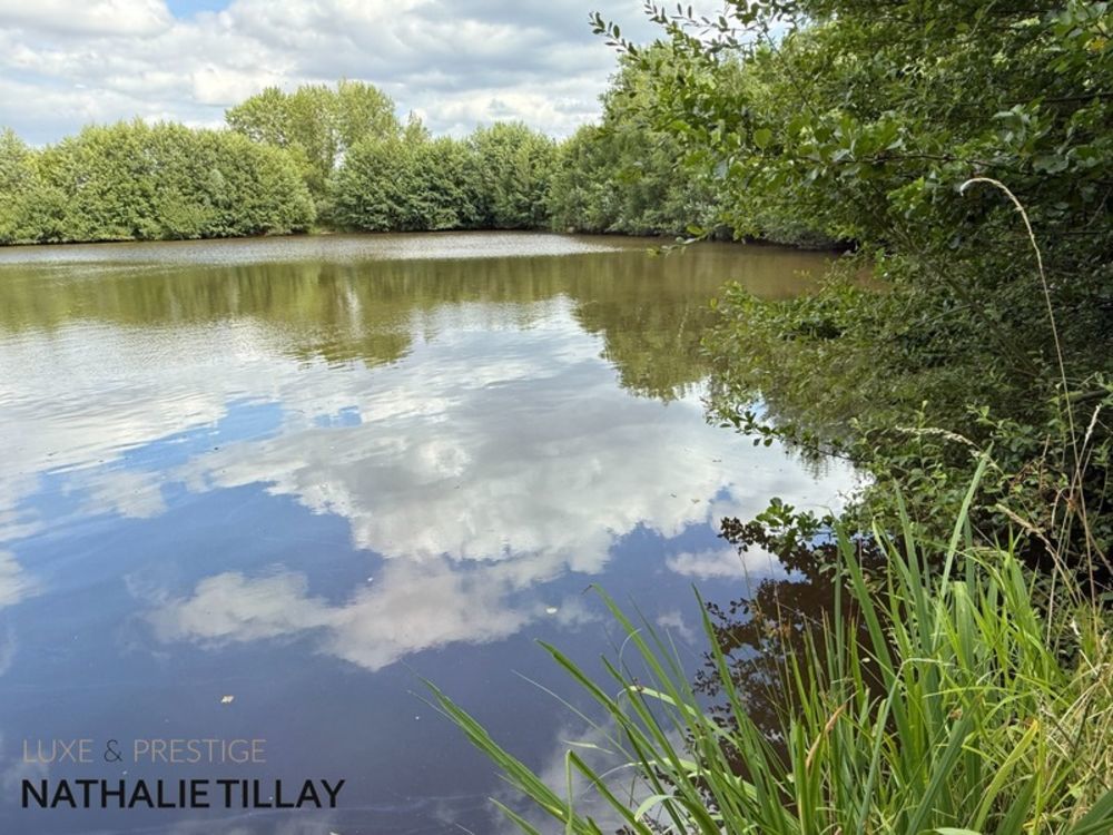 � vendre  Propri�t�/ch�teau Sandillon (45640)