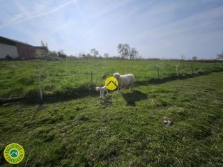  Maison � vendre 5 pi�ces 87 m�