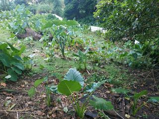  Terrain � vendre 500 m�