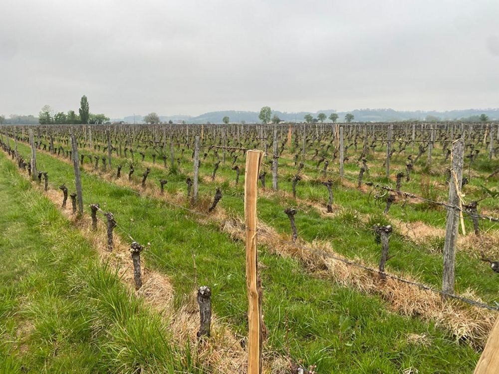 � vendre  Maison Saint-Magne-de-Castillon (33350)