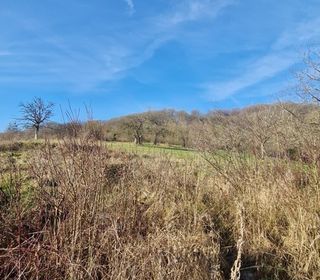  Terrain � vendre 795 m�