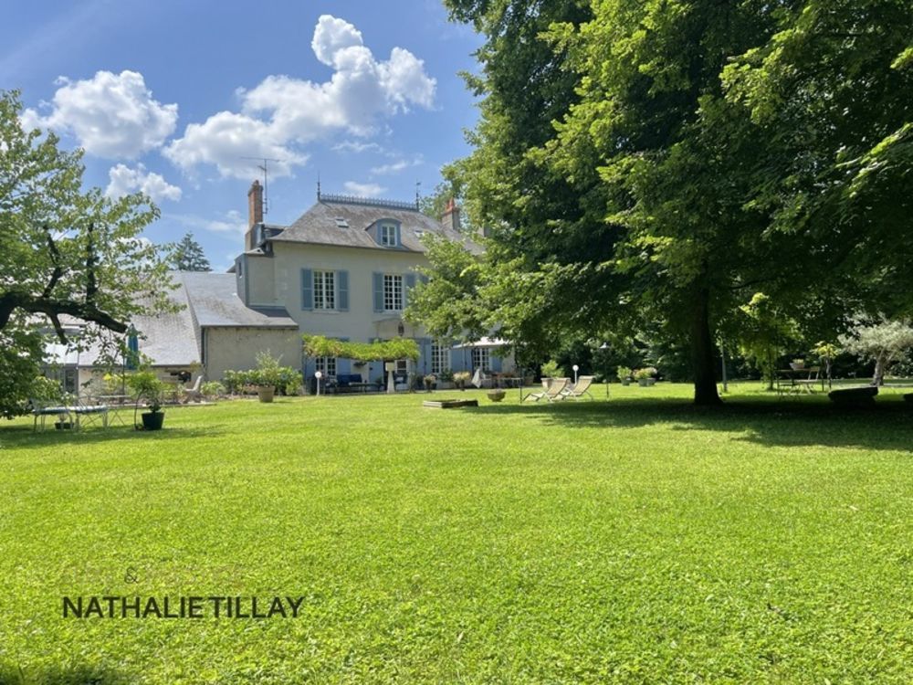 � vendre  Propri�t�/ch�teau Saint-Jean-le-Blanc (45650)