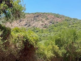  Terrain � vendre 3380 m�