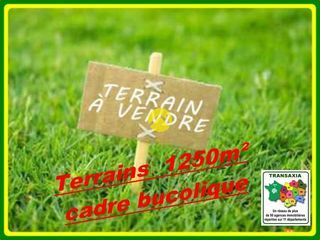  Terrain � vendre 1 pi�ce 1250 m�