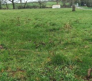  Terrain � vendre 1636 m�