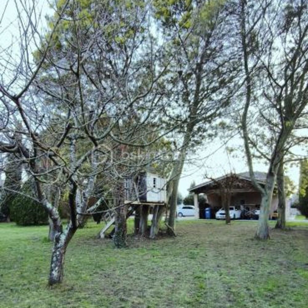 � vendre  Propri�t�/ch�teau Saint-Alban (31140)