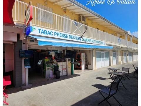 Lot de 2 locaux commerciaux 155000 97115 Sainte rose