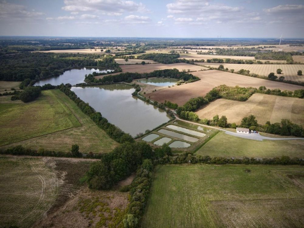 � vendre  Propri�t�/ch�teau Poitiers (86000)