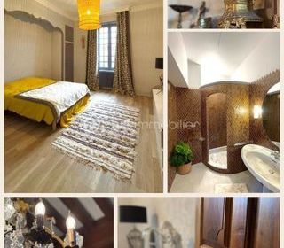  Maison � vendre 9 pi�ces 253 m�