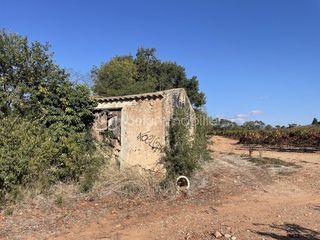  Terrain � vendre 45000 m�