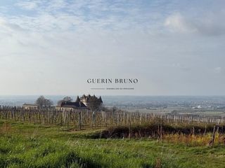  Propri�t�/ch�teau � vendre 110 m�