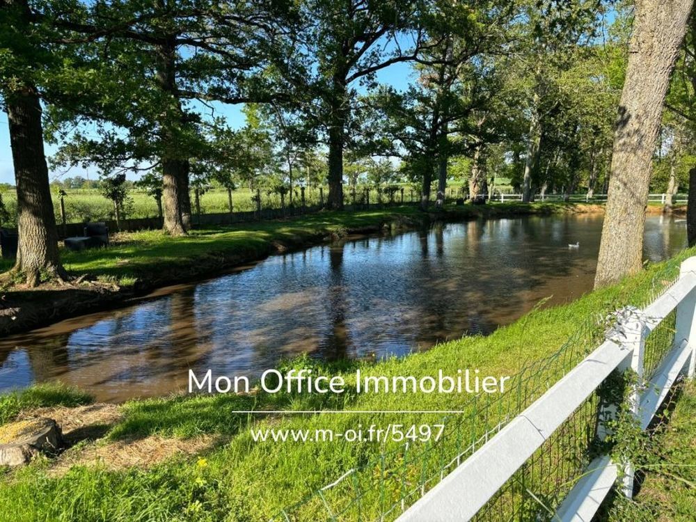 � vendre  Propri�t�/ch�teau Chazemais (03370)