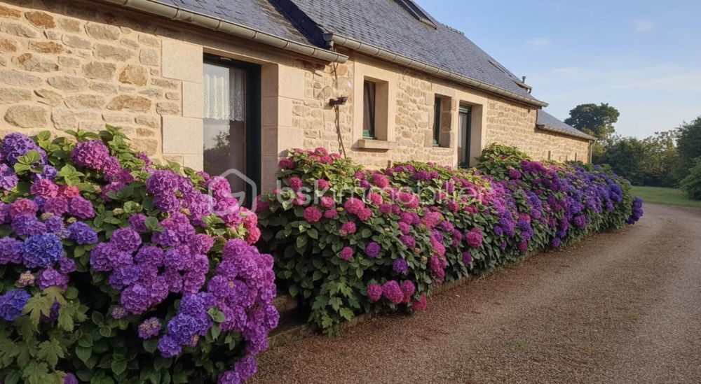 � vendre  Propri�t�/ch�teau Dinan (22100)