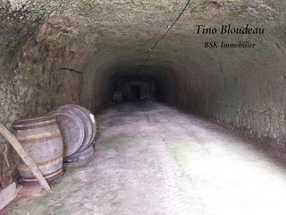  Maison � vendre 1 pi�ce 165 m�