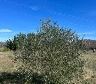  Terrain � vendre 2600 m�