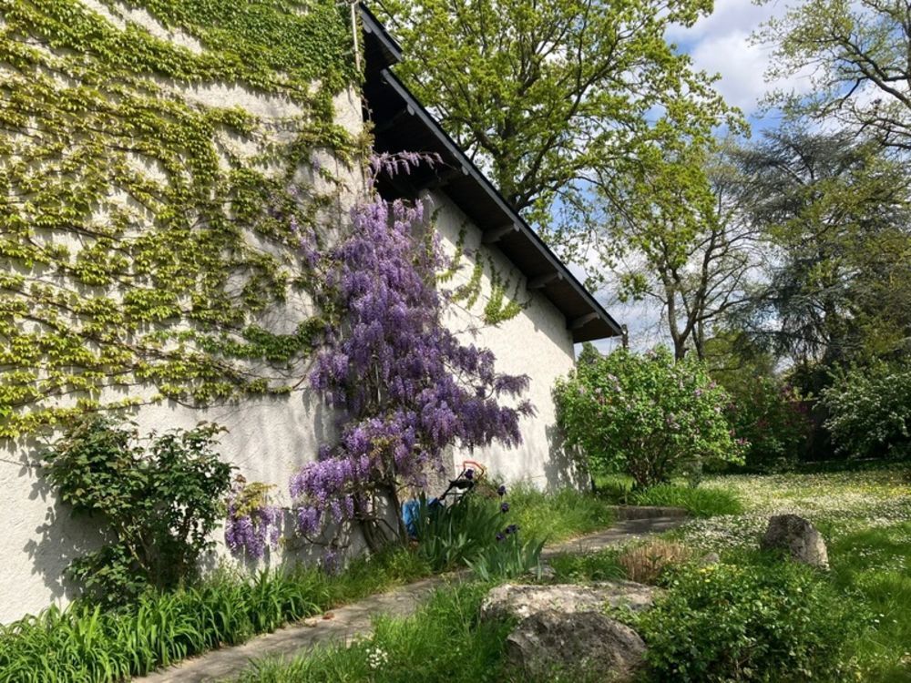 � vendre  Villa Villennes-sur-Seine (78670)