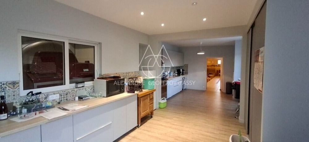 � vendre  Propri�t�/ch�teau Chenonceaux (37150)