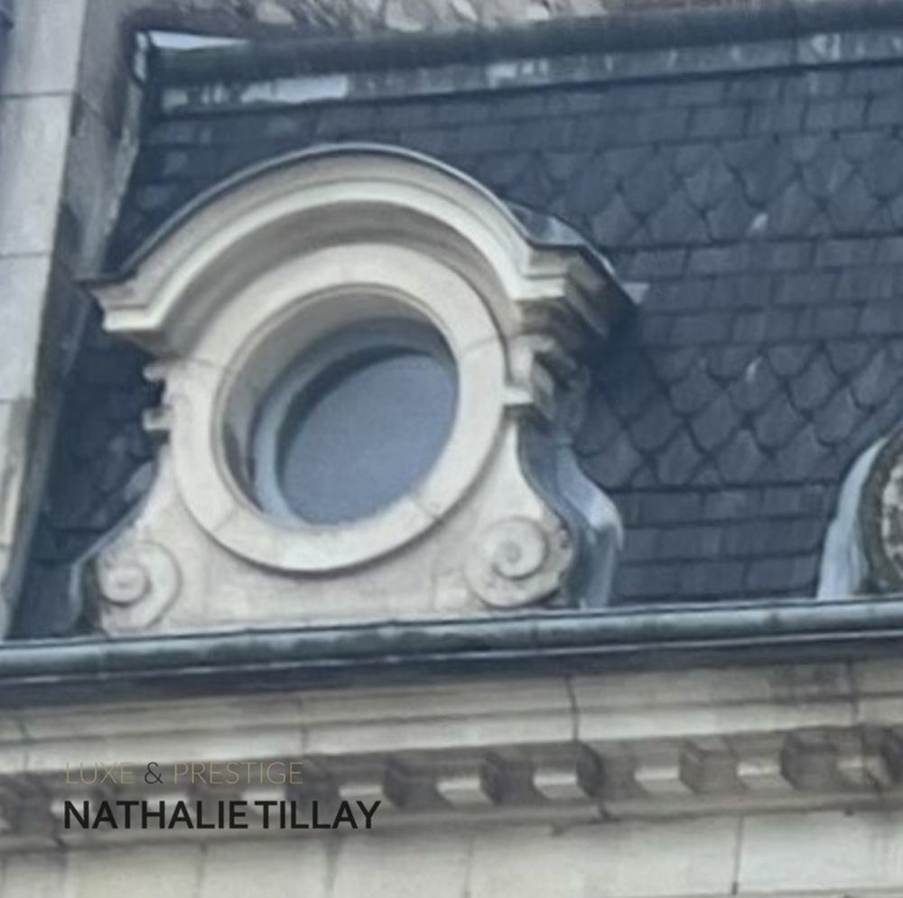 � vendre  H�tel Particulier Orl�ans (45000)