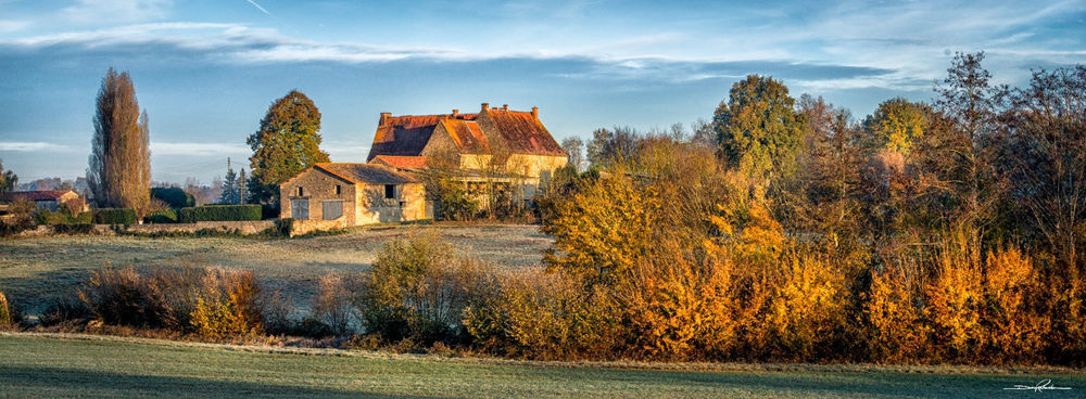 � vendre  Propri�t�/ch�teau Saint-Hilaire-des-Loges (85240)