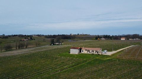   Charmante maison au milieu des vignes Maison - 6 pi�ce(s) - 133 m�