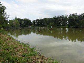  Propri�t�/ch�teau � vendre 7 pi�ces 110 m�