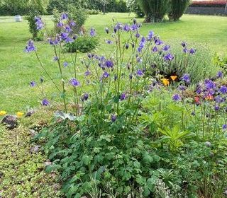  Maison � vendre 6 pi�ces 150 m�