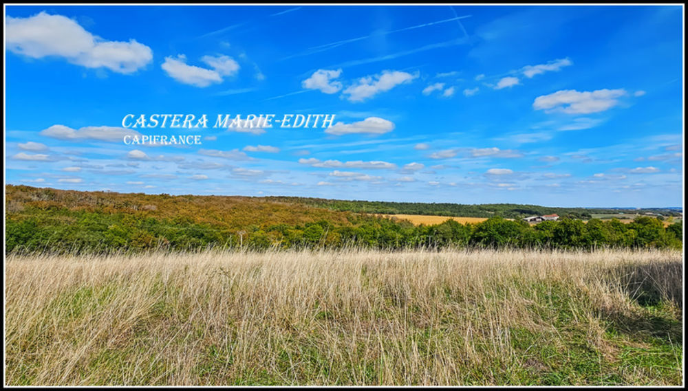 � vendre  Propri�t�/ch�teau Vic-Fezensac (32190)