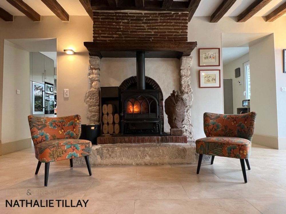 � vendre  Propri�t�/ch�teau Gidy (45520)