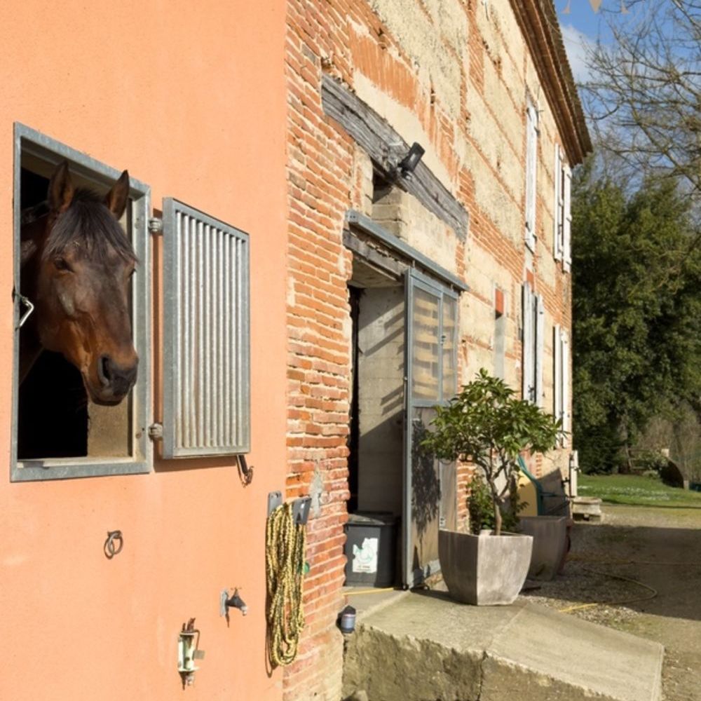 � vendre  Propri�t�/ch�teau Moissac (82200)