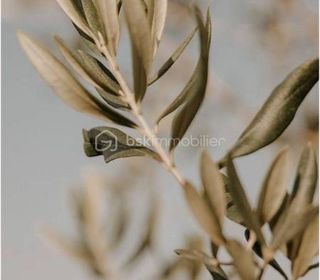  Terrain � vendre 310 m�