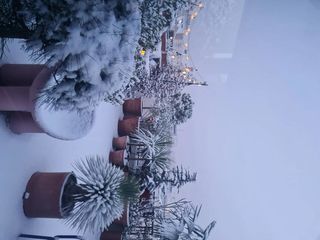  Duplex/triplex � vendre 5 pi�ces 110 m�