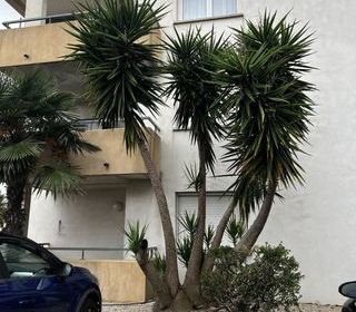  Appartement � vendre 3 pi�ces 67 m�