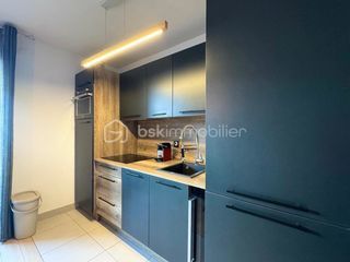  Appartement � vendre 2 pi�ces 44 m�