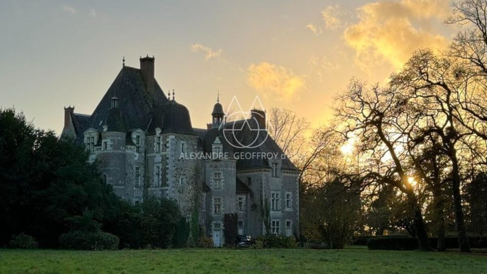 � vendre  Propri�t�/ch�teau Angers (49000)