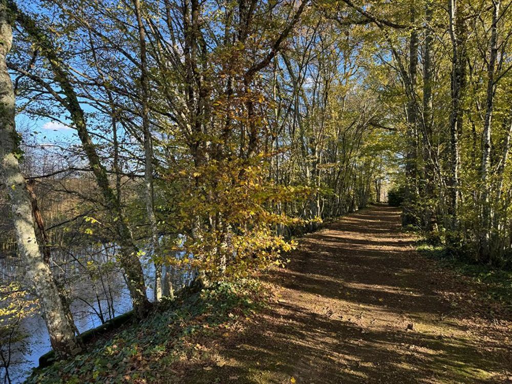 � vendre  Propri�t�/ch�teau Saint-�milion (33330)